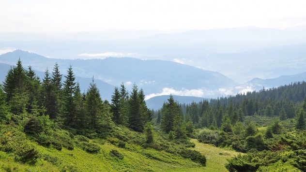 En Polonia, un padre dejó a su hija de 10 años sola en las montañas para recibir educación propósitos: la familia está a cargo de la corte