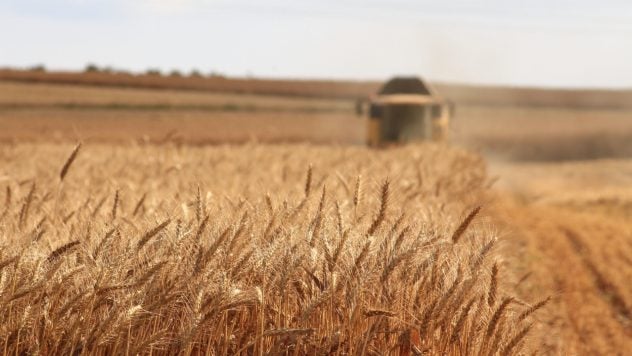 Los agricultores en Ucrania no experimentan una escasez de almacenamiento de granos – MP Gaidu