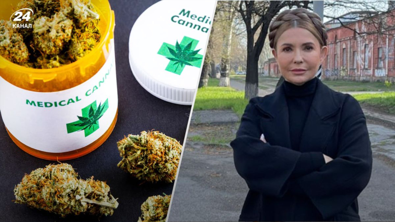 El lugar de Tymoshenko en la basura de la historia: el médico de combate criticó la posición de MP sobre el cannabis