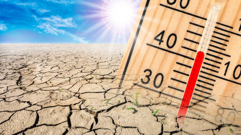 Es un verano cruel, la era de la ebullición global ha llegado: julio romperá el récord de calor 