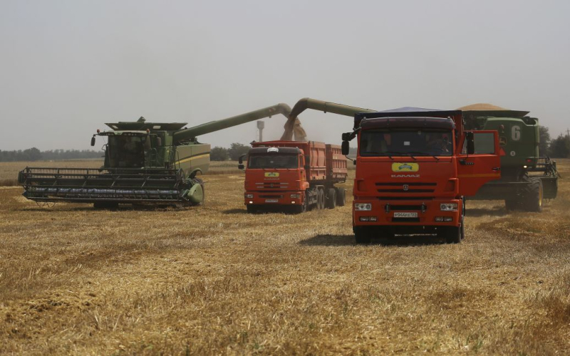 Putin dijo que no se han cumplido las condiciones para extender el acuerdo de granos