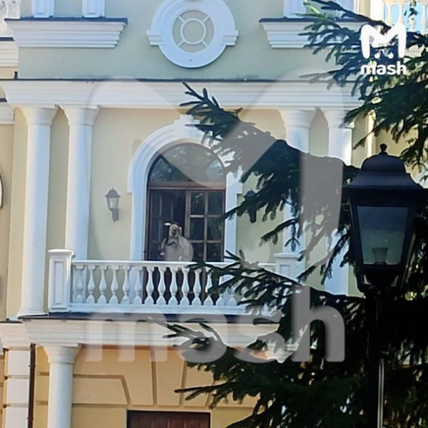 En los suburbios, un hombre se apoderó de la mansión donde vivía Yanukovych y disparó a la policía