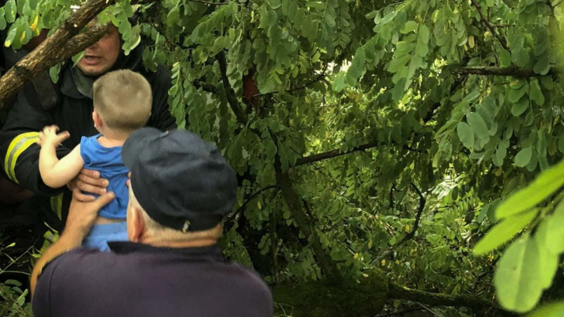 Había una familia con niños pequeños en el salón: el viento derribó un árbol en el coche en Sambir