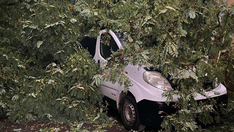 Había una familia con niños pequeños en el cabina: el viento derribó un árbol sobre un coche en Sambir