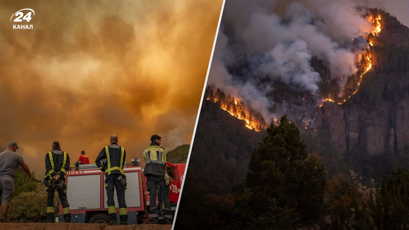 Incendio fuera de control: 26.000 personas evacuadas de Tenerife por incendios forestales