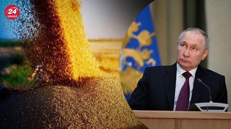 Volverá Putin al acuerdo de cereales: politólogo estimó las pérdidas económicas de Rusia