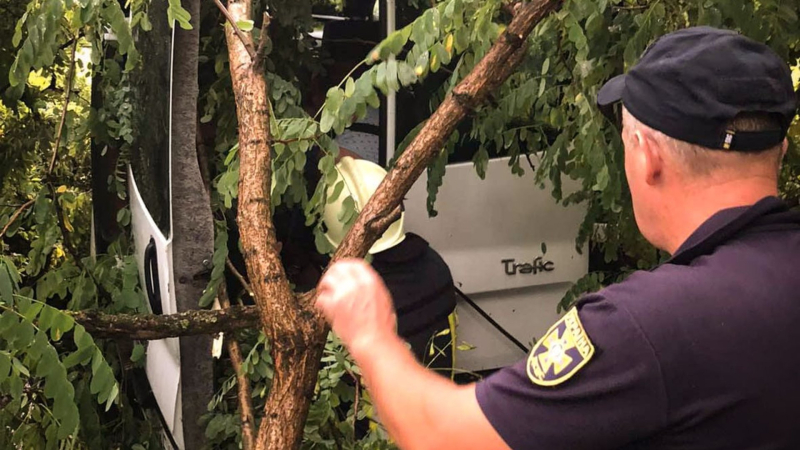 Había una familia con niños pequeños en la cabaña: el viento derribó un árbol en Sambir en coche