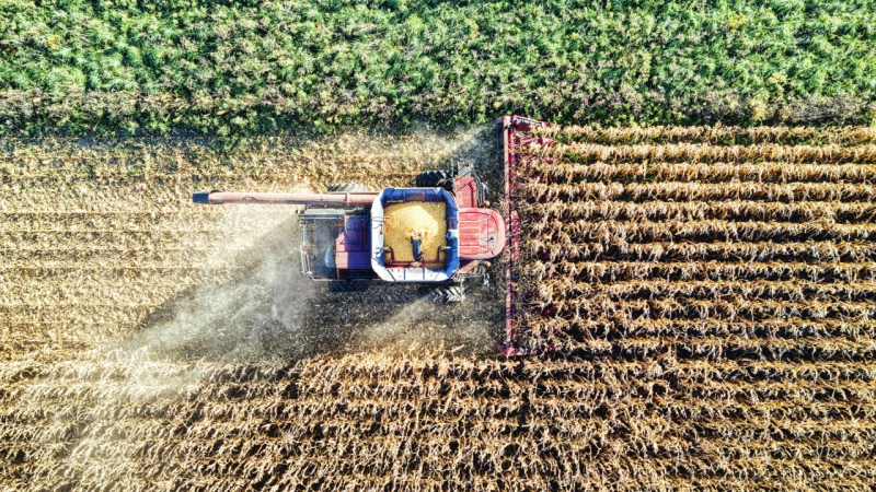 Polonia seguirá prohibiendo los productos agrícolas ucranianos a pesar de la decisión de la Comisión Europea