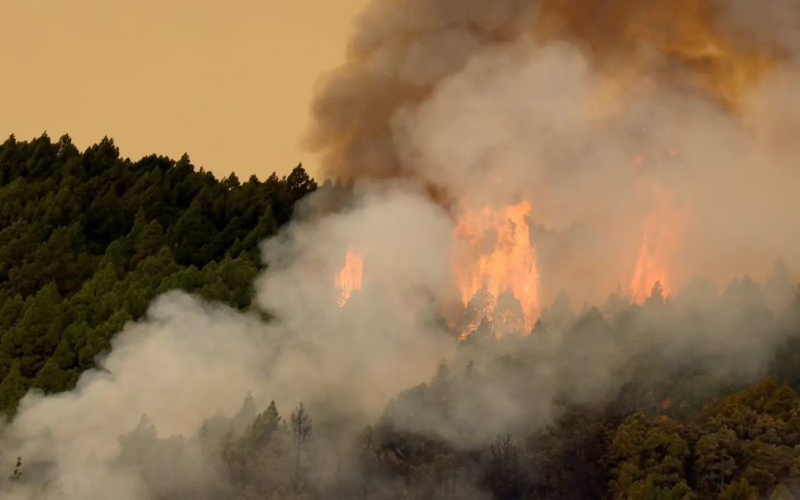 Fuego en la isla de Tenerife – el fuego está fuera de control