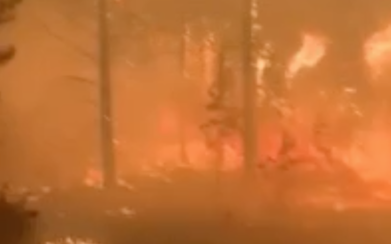Incendios forestales a gran escala engulleron Rusia – video