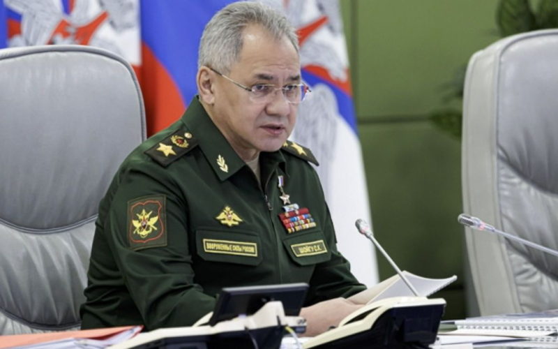 Shoigu anunció 