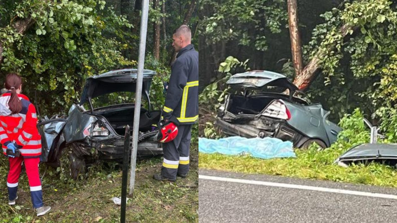 Dos muertos, hay heridos: un coche se estrelló contra un árbol en la región de Lviv