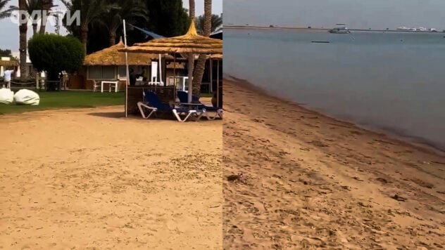 Le arrancaron la mano de un mordisco: en Egipto, un tiburón atacó a una turista en la playa
