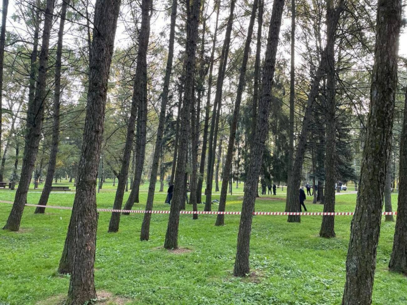 Cuando la vida en Rusia literalmente te deja boquiabierto: dos cadáveres sin cabeza fueron encontrados en Moscú en un día