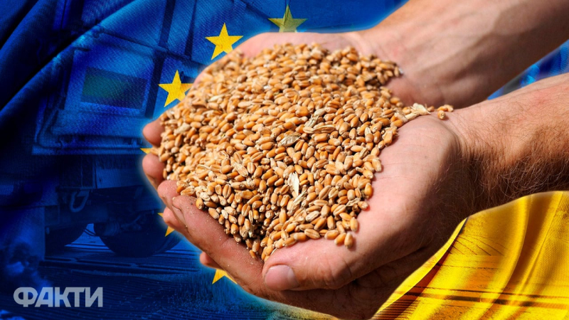 El Ministerio de Asuntos Exteriores dio cinco argumentos por los que es necesario desbloquear la importación de cereales ucranianos al UE