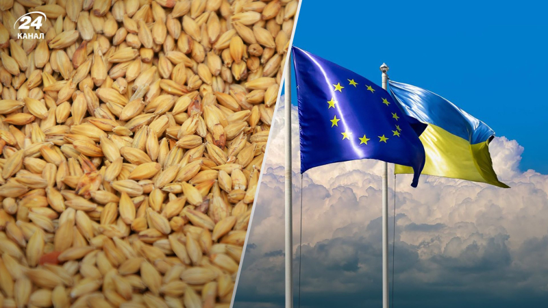 "Los ucranianos necesitan "solidaridad con los cereales" ;: continúan los acalorados debates en la UE sobre el acuerdo sobre cereales