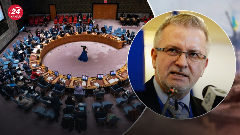 Es importante que escuchen lo que El resto dice mundo: eurodiputado sobre la participación de Rusia en el Consejo de Seguridad de la ONU