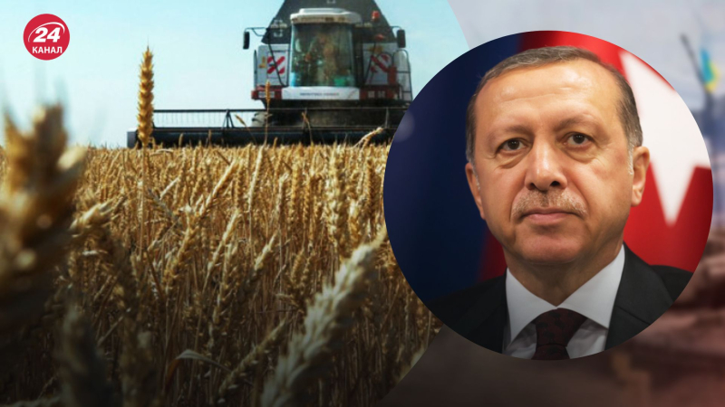 Futuro acuerdo sobre cereales: Erdogan hará un anuncio importante después de las negociaciones con Putin