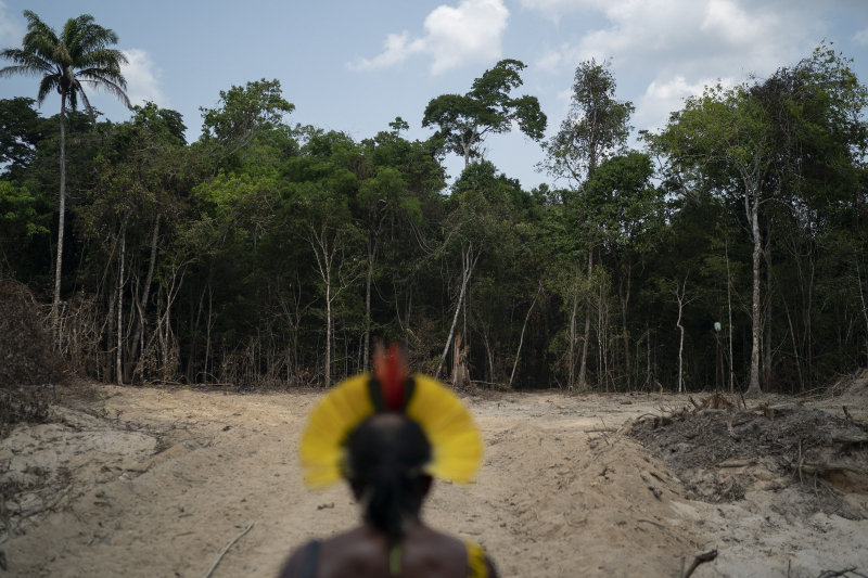  Una tribu aislada de amazonas destrozó a un extraño 