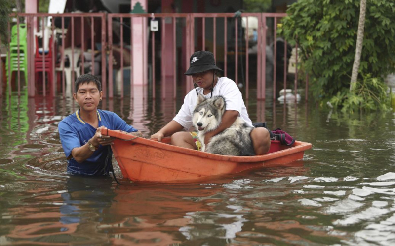 China se hunde: las lluvias continúan por séptimo día (foto)