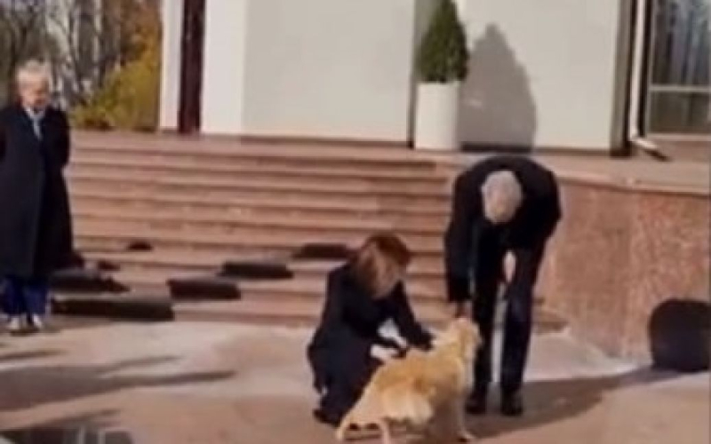 &quot “Miedo al peligro”: el presidente de Austria fue mordido por el perro del líder de Moldavia (vídeo)