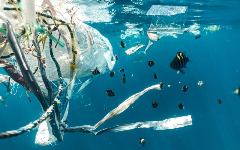Cómo dejar de contaminar el La Tierra siempre es plástica: investigación