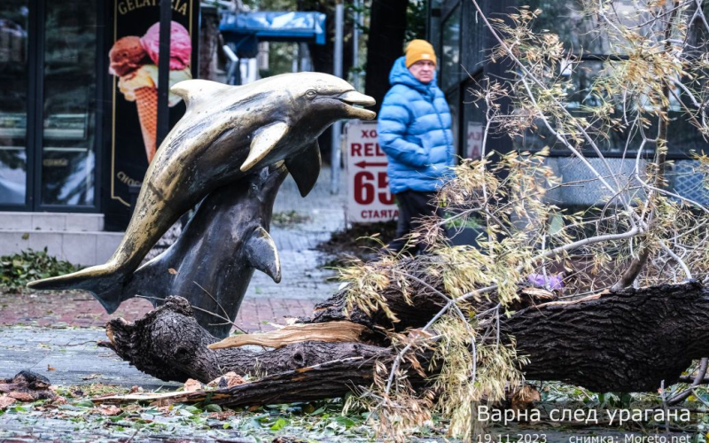 Tormenta severa en Bulgaria: dos personas murieron, decenas de miles & mdash ; se quedó sin luz (foto)