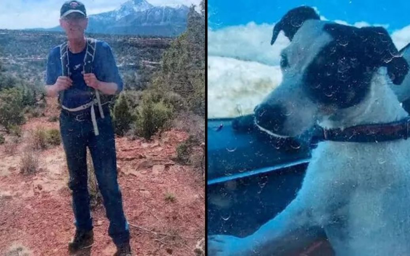 Un perro permaneció junto al cuerpo de su dueño muerto en las montañas durante dos meses