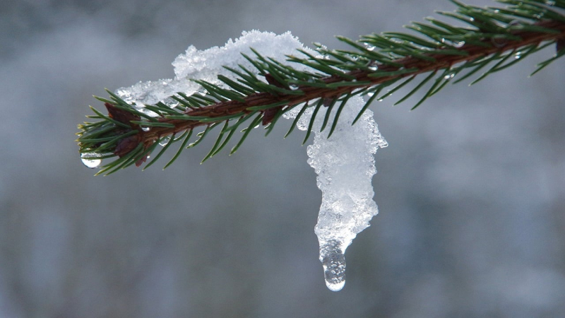 Nada de clima en febrero: pronóstico del tiempo en Ucrania para una semana