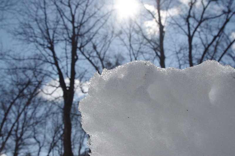 No hay ningún clima en febrero: pronóstico del tiempo en Ucrania para un semana