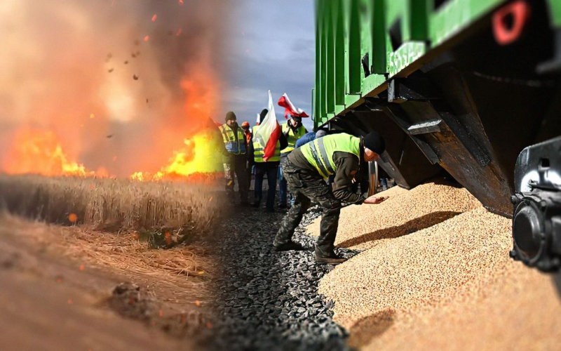 Los polacos reciclan el grano ucraniano derramado en la frontera