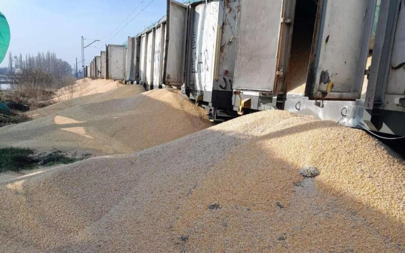 Otra vez hay sabotaje en Polonia: maíz ucraniano fue arrojado al suelo - detalles, fotos