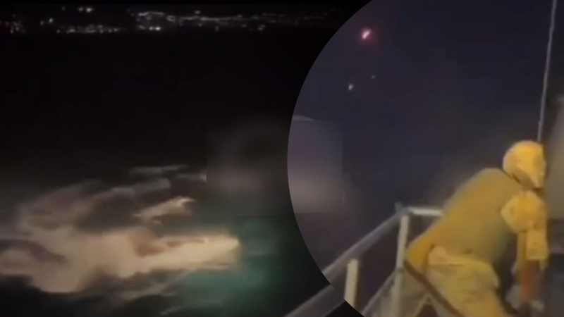 Cómo los drones Magura destruyeron el barco ruso 