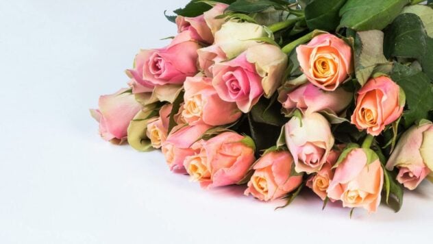 ¿Cuánto cuestan 101 rosas en Ucrania en 2024: precios de las flores por región