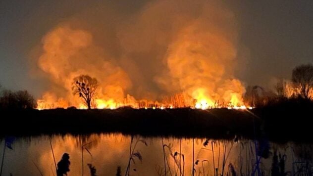 Se están investigando las causas del incendio en el parque ecológico Osokorki y la versión de Se está considerando un incendio provocado - KGVA