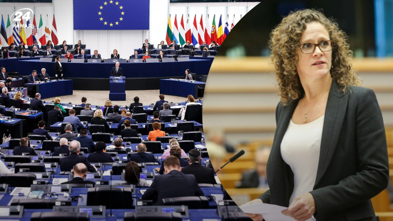 "No queremos ver personas sancionadas en Europa": el eurodiputado sobre la criminalización de la elusión de sanciones