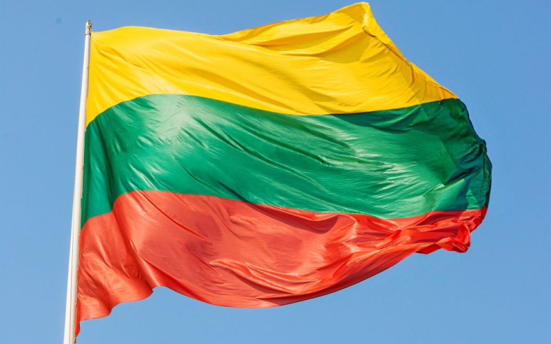 El regreso de los hombres a Ucrania: Lituania ha declarado su disposición a ayudar al Estado