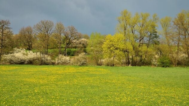 Hará bastante fresco y lluvioso por momentos: pronóstico del tiempo a partir del lunes 13 de mayo