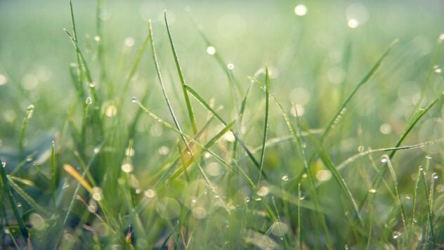 Lluvias y temperaturas más bajas: cómo será el tiempo en Ucrania la próxima semana