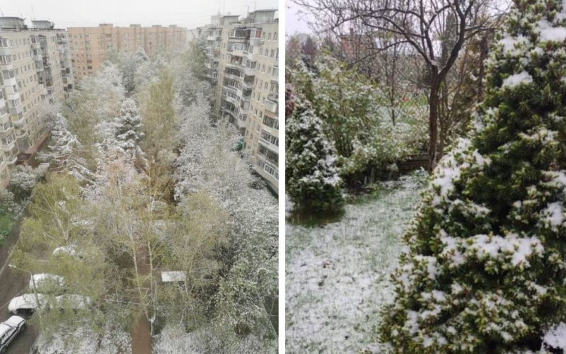 Moscú está cubierto con nieve y escarcha (foto, vídeo)