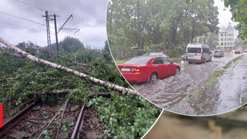 Cayó una cantidad récord de precipitación: un huracán dejó en Letonia a decenas de miles de personas sin electricidad