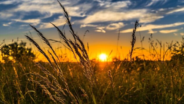 El día más caluroso en Ucrania: cuándo será y qué temperatura se espera