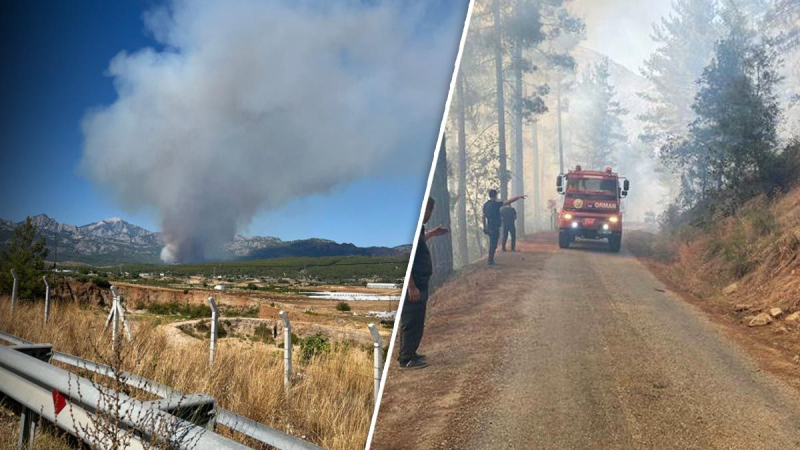 Turquía está envuelta en incendios forestales en diferentes provincias : evacuación en curso de personas