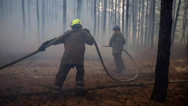 Un incendio forestal en la región de Poltava ha cubierto 700 hectáreas, personas están siendo evacuadas