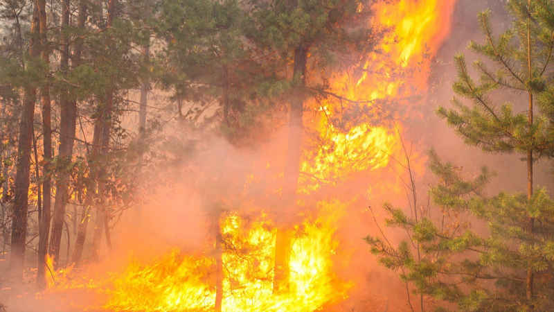 Quemaduras cerca de Kiev, Liman y Poltava: qué es Se sabe sobre incendios a gran escala en Ucrania