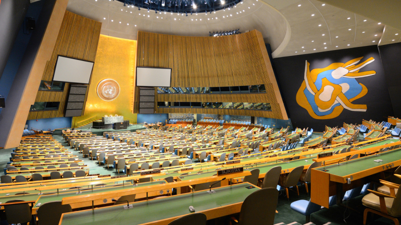 La Asamblea General de la ONU se centrará en la Fórmula de Paz y la situación en WOT-Sibiga