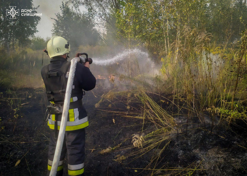 Llegada a los almacenes rusos en Mariupol y explosiones en Zaporozhye: acontecimientos de la noche del 13 de septiembre