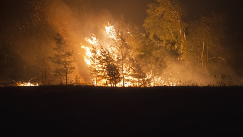 Quemaduras cerca de Kiev, Liman y Poltava: lo que se sabe sobre los incendios a gran escala en Ucrania