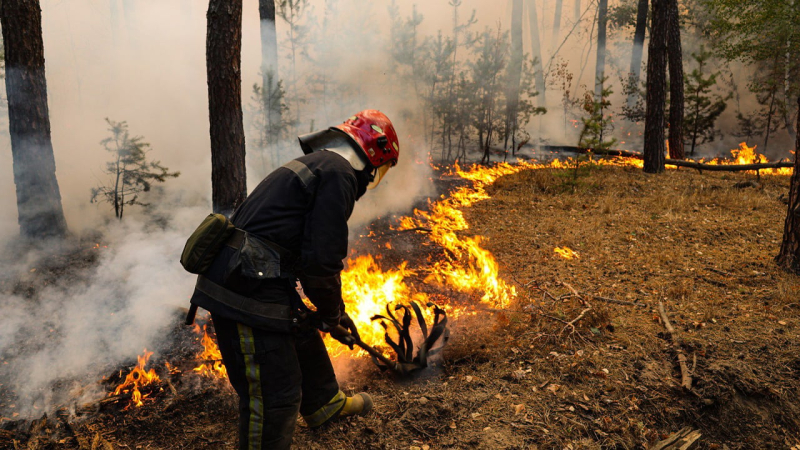 Quemaduras cerca de Kiev, Liman y Poltava: lo que se sabe sobre los incendios a gran escala en Ucrania