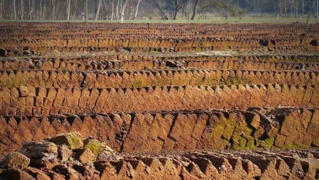 Qué son las turberas y por qué son peligrosos sus incendios